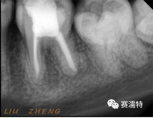 Dentist Liu Jing